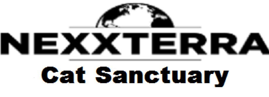 schmoozer Cover Image